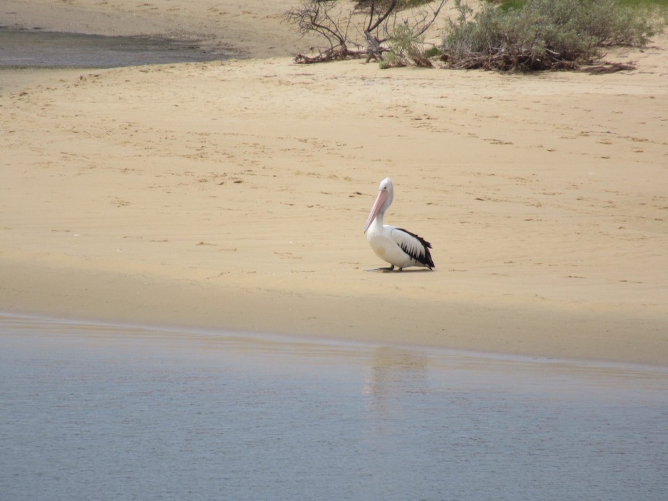 Australien -  - 