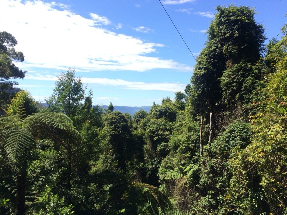 Australien - Katoomba - 