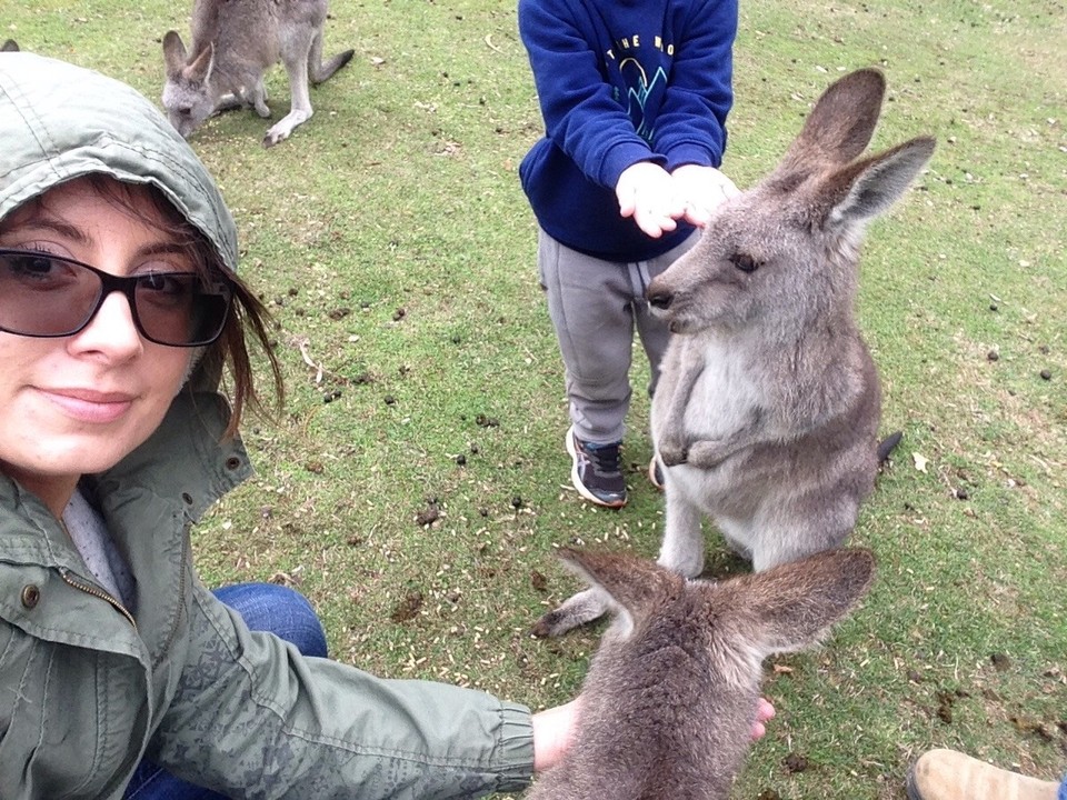 Australia - Burrinjuck - 
