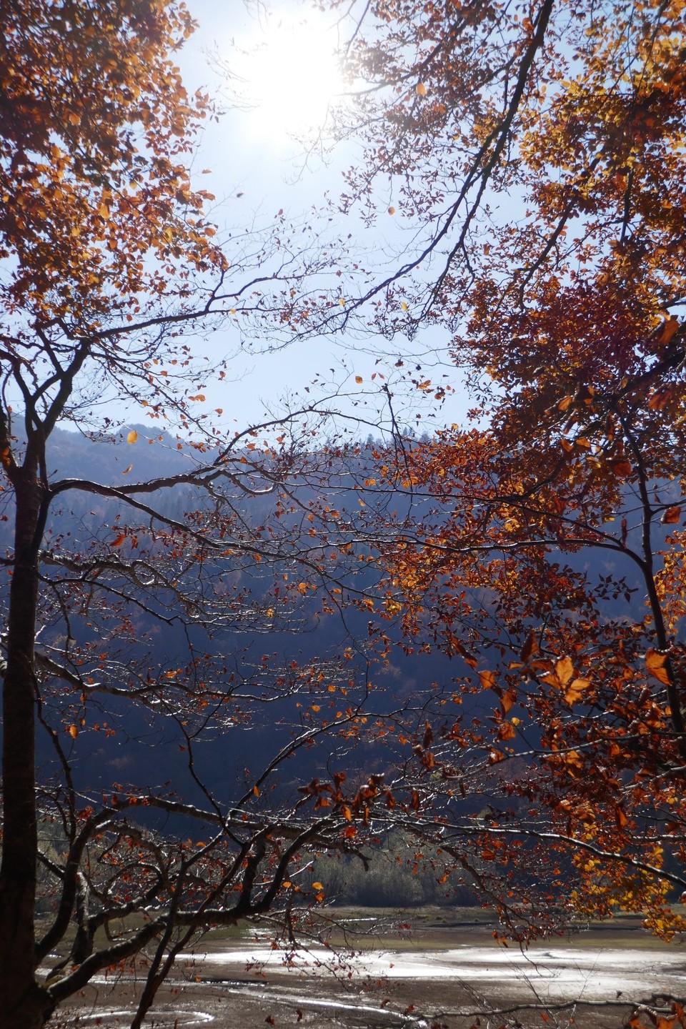 Montenegro - Nationalpark Biogradska Gora - 