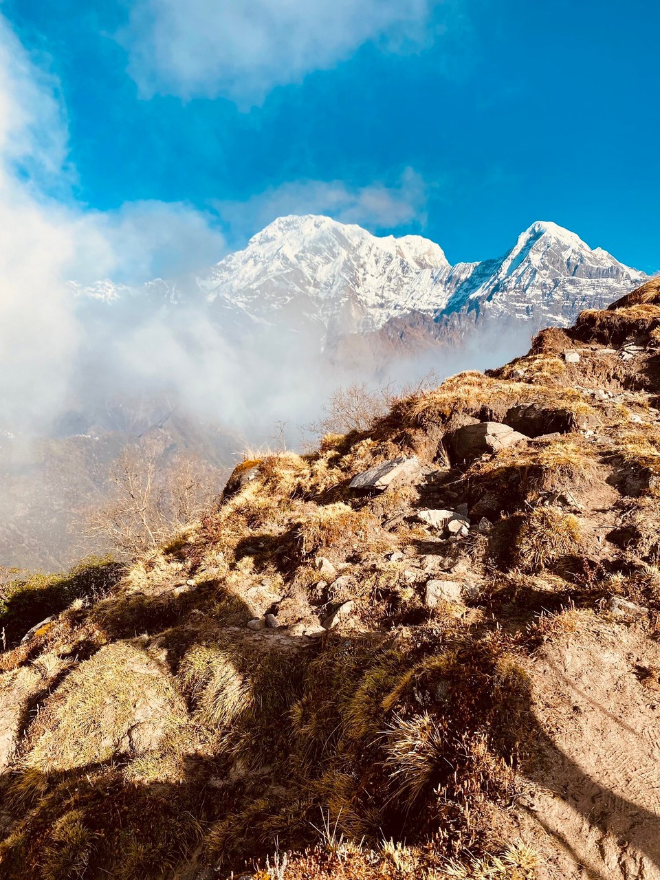 Nepal -  - 
