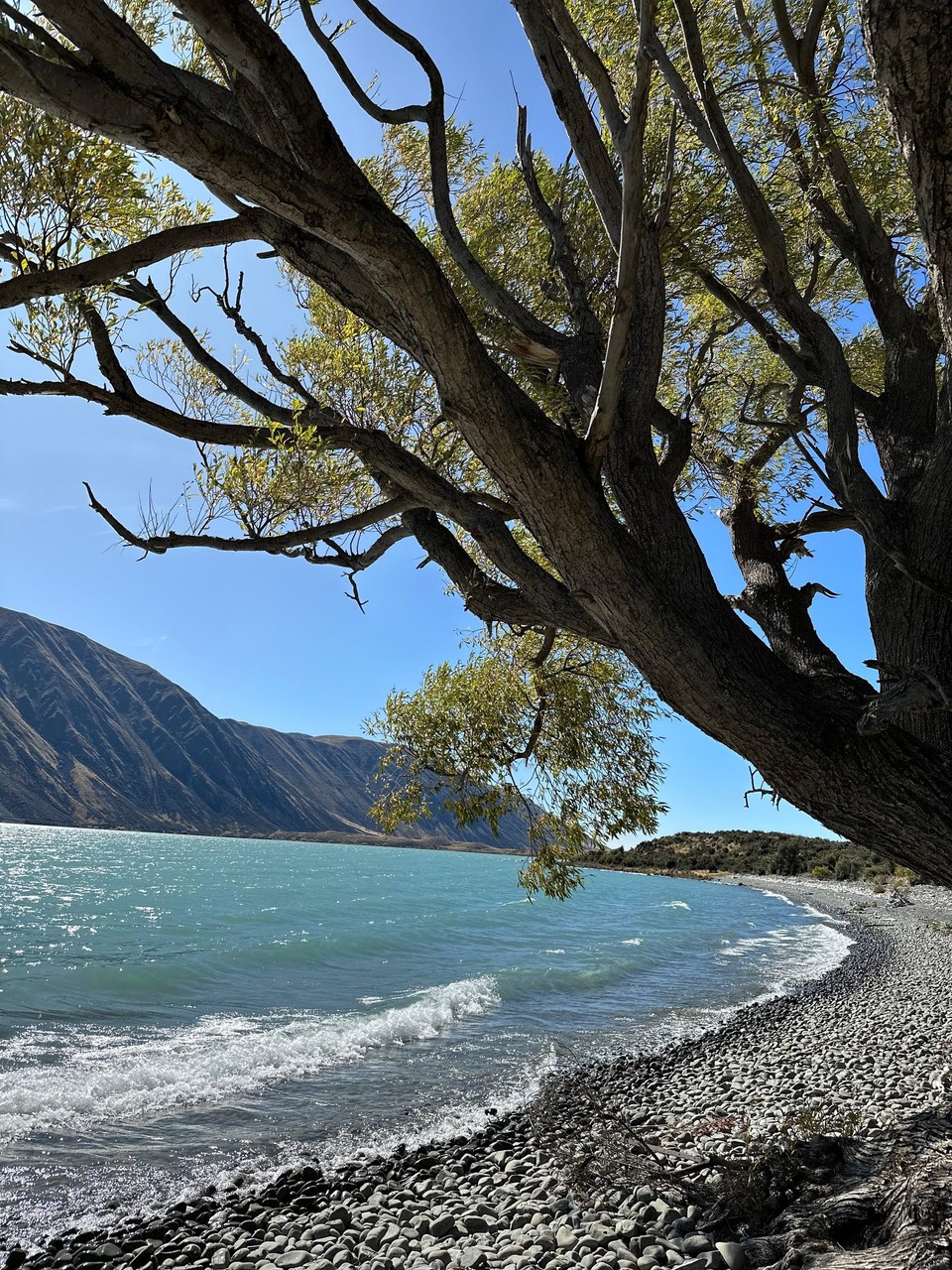 Neuseeland - Twizel - Eine sehr lange Flache Gerade Strecke mit viel Gegenwind irgendwie anstrengend 
