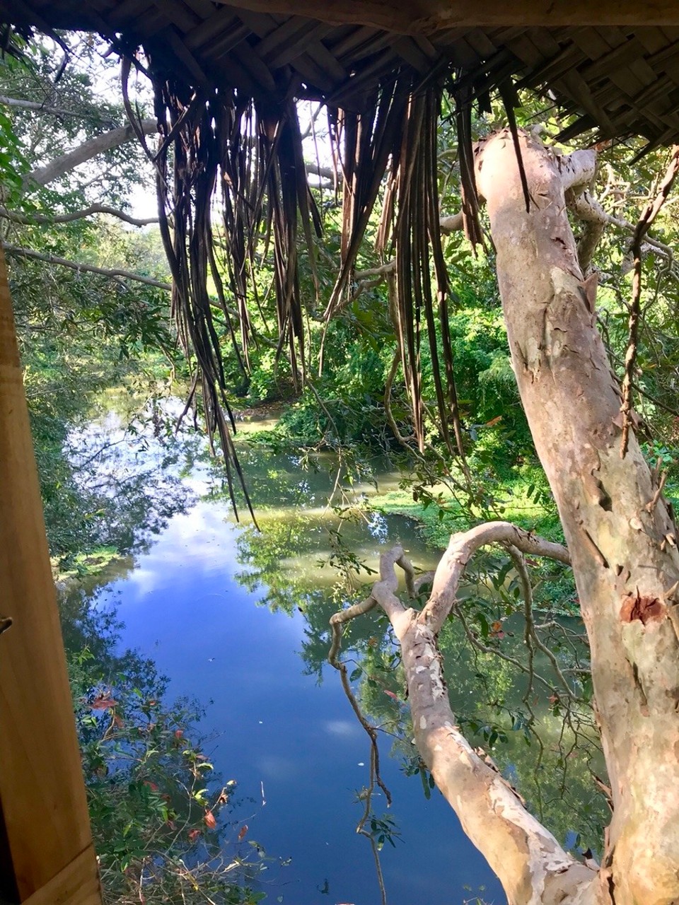 Sri Lanka -  - Guten Morgen an alle 🔆

So sind wir heute aufgewacht 😍