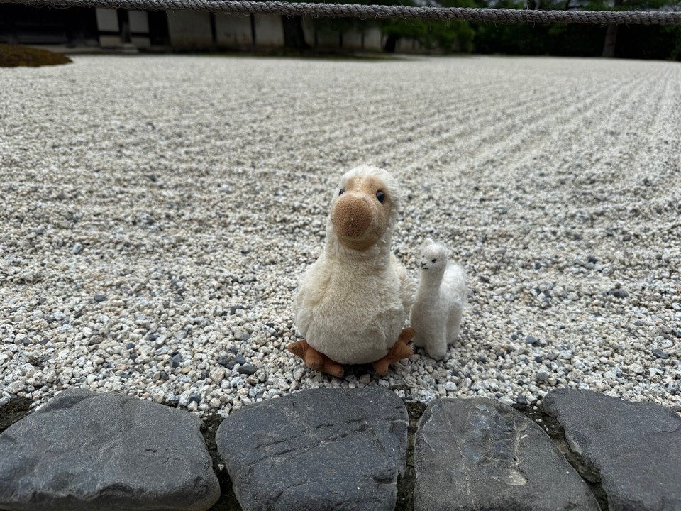 Japan - Kyoto - So schön geharkt