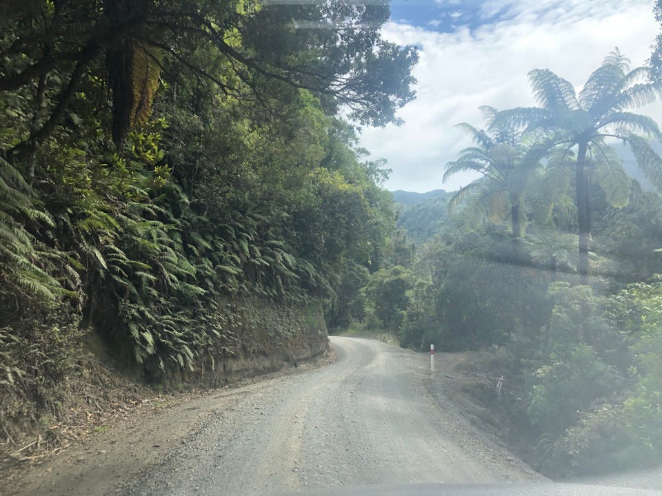 Neuseeland - Auckland - Fahrt quer durch die Coromandel Halbinsel auf abenteuerlicher Schotterstrasse