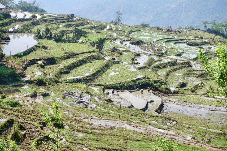 Vietnam - H. Sa Pa - 