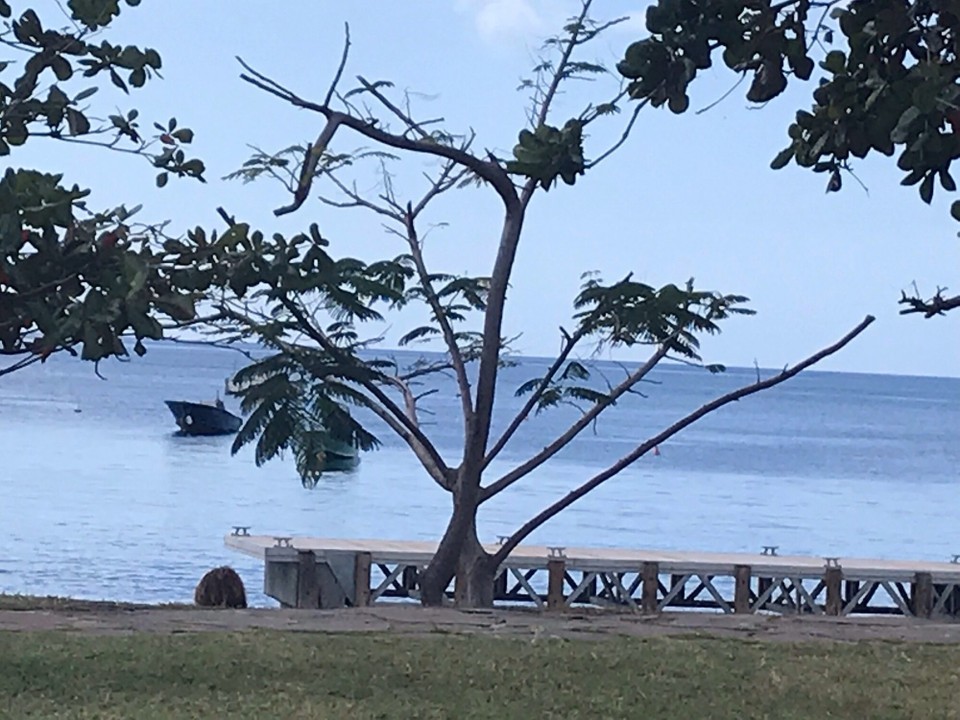 Guadeloupe -  - 