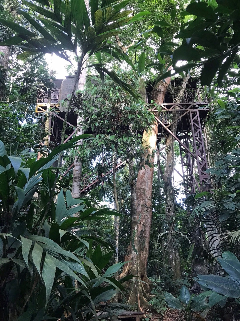 Costa Rica - San Carlos - 