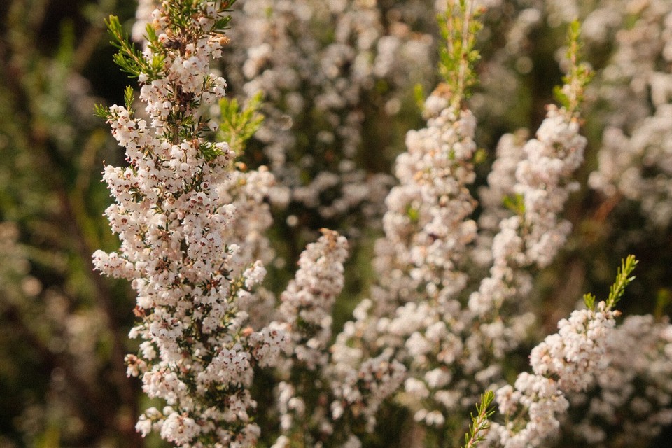 Portugal - Aljezur - 