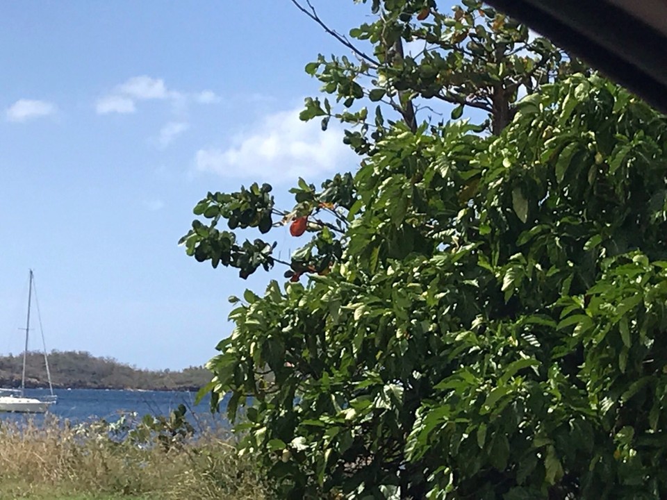 Guadeloupe -  - 