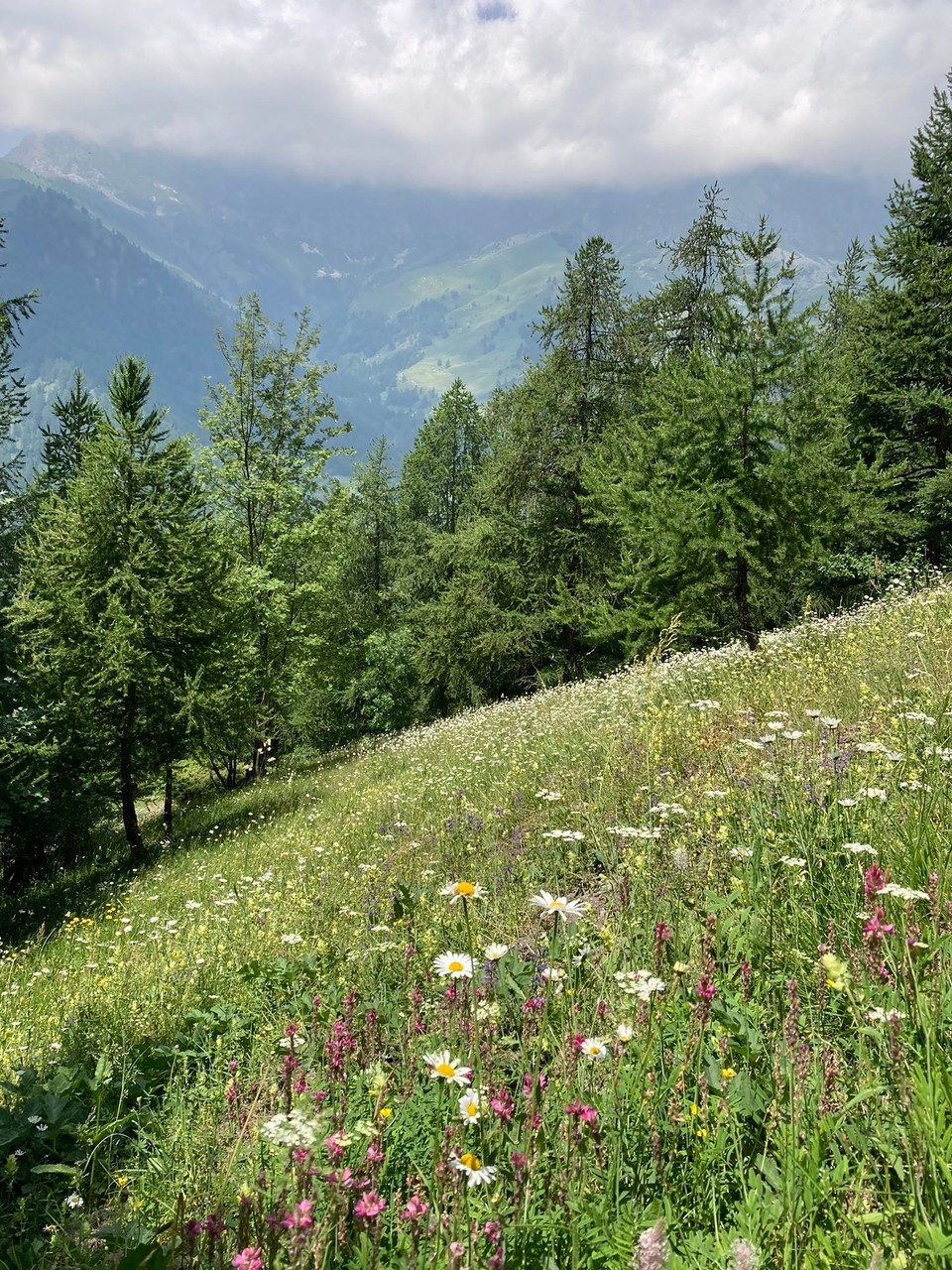 Italien - Prazzo - Wanderausblicke