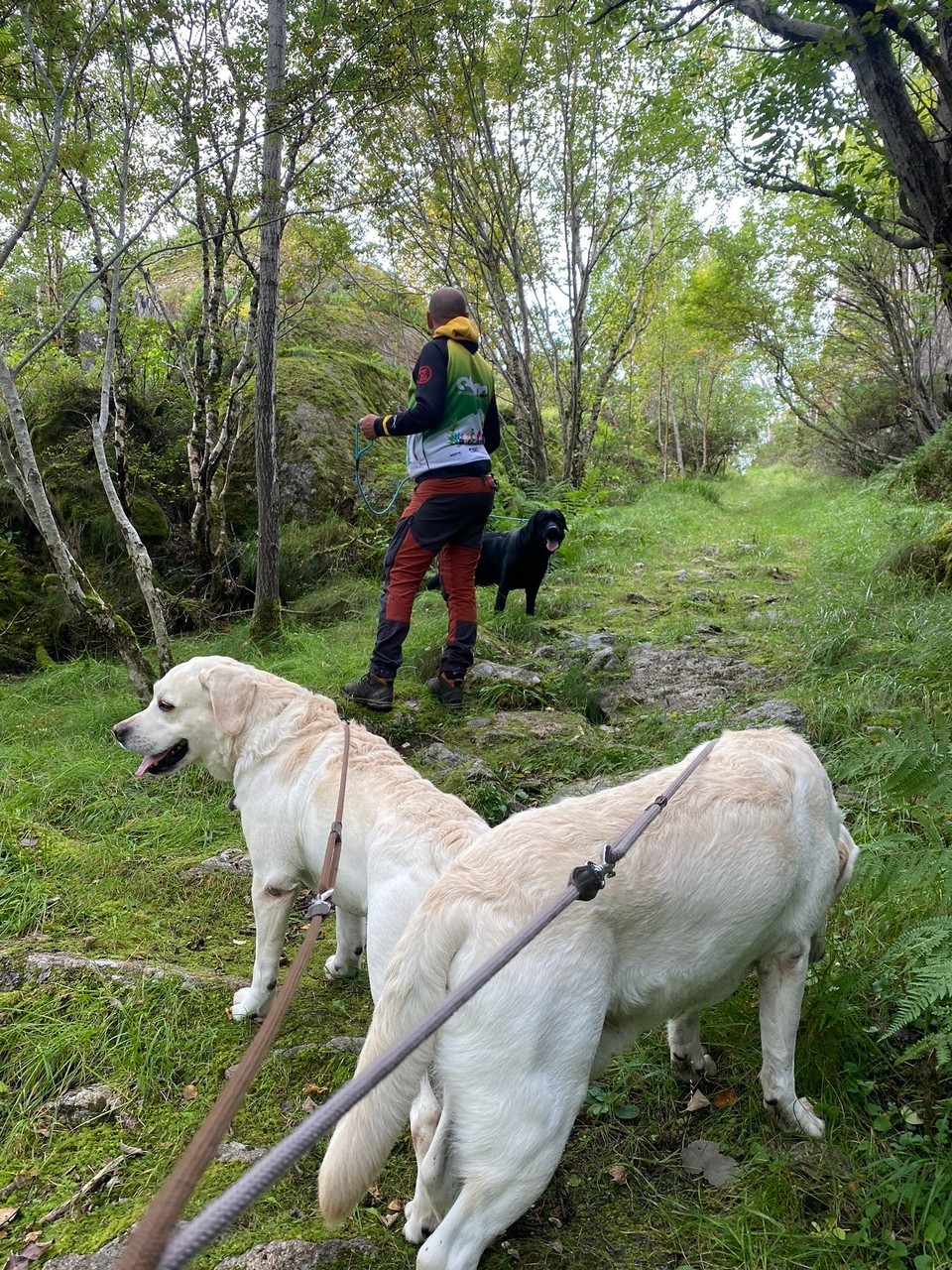 Norwegen - Hestvika - Wir waren wandern und sich den Hinden haben die beiden Ruhetage gut getan. 