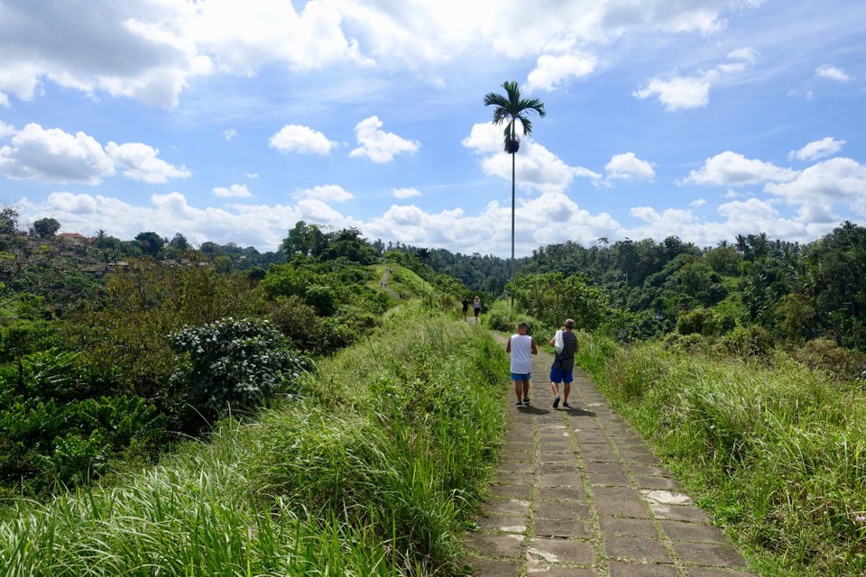 Indonesia - Ubud - 