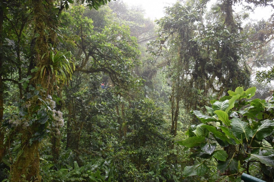 Costa Rica - Abangares - Da soll es durchgehen.