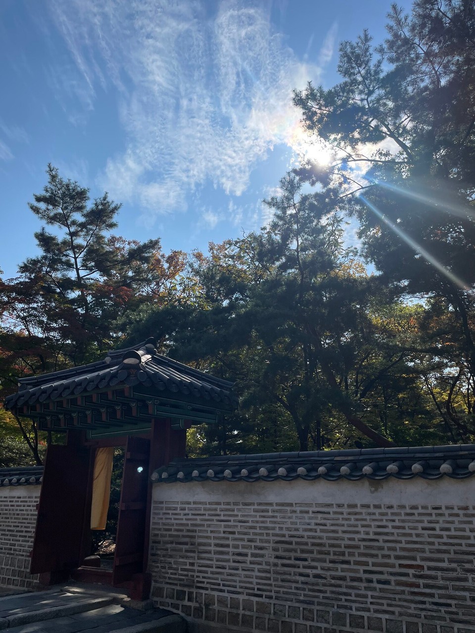 대한민국 - 서울특별시 - 