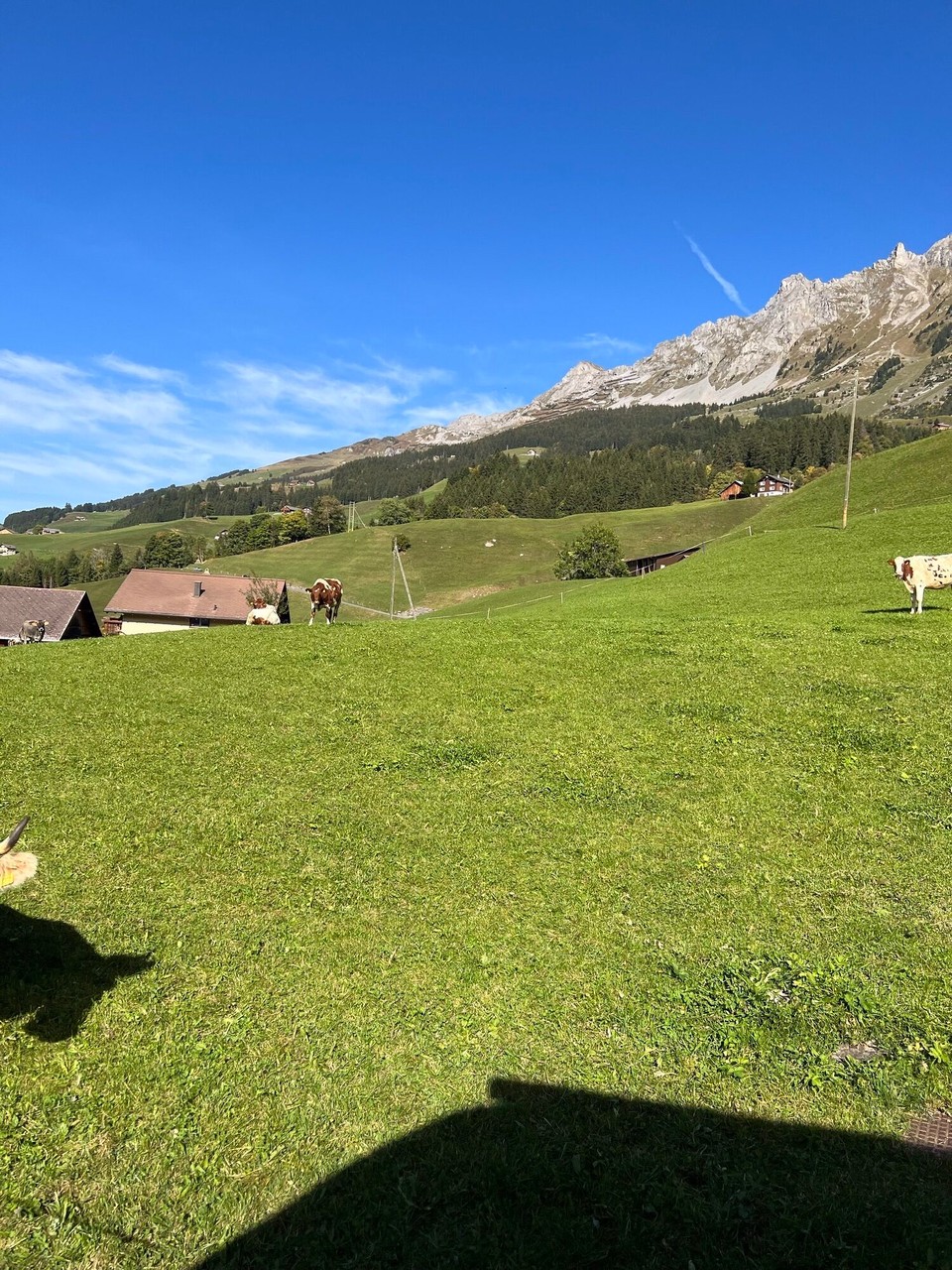 Schweiz - Riehen - 
