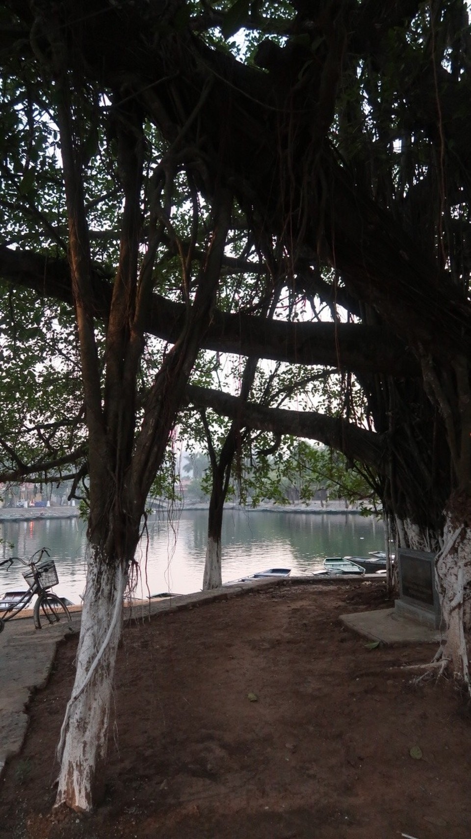 Vietnam - Ninh Bình - 