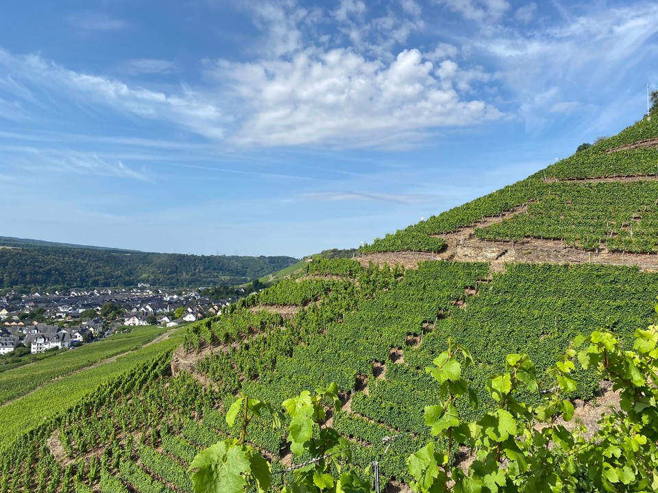 Deutschland - Koblenz - Blick zurück nach Winningen