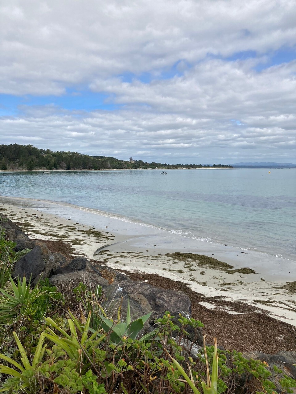 Neuseeland - Kaitaia - Auf dem Rückweg schauen wir uns noch den Rangiputa Beach an der Kohanga Bay an