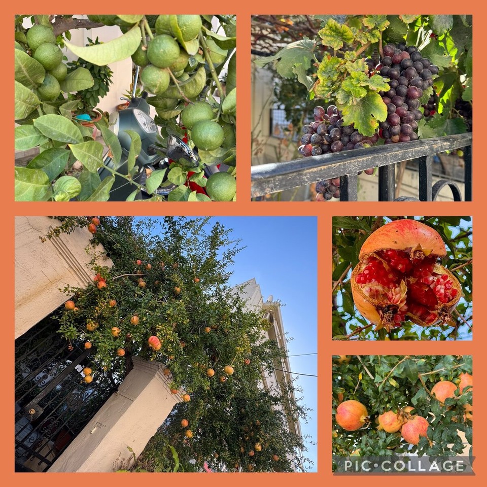 Griechenland - Heraklion - Mitten in der Stadt…