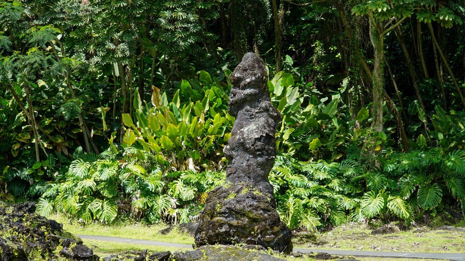 USA - Hilo - Lava Tree