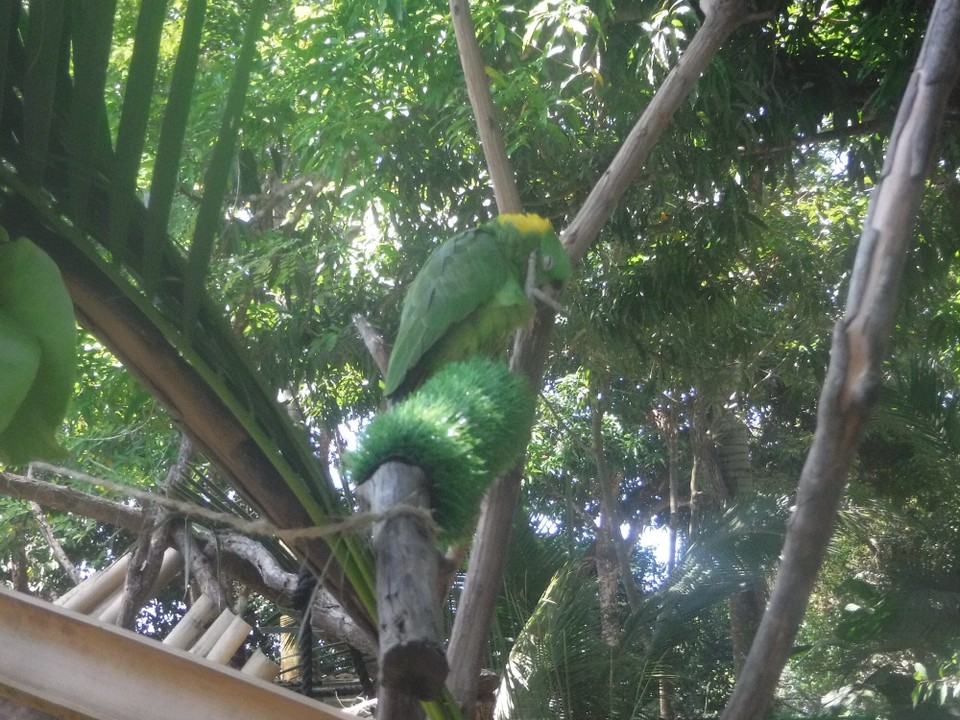 Costa Rica - Perez Zeledon - 