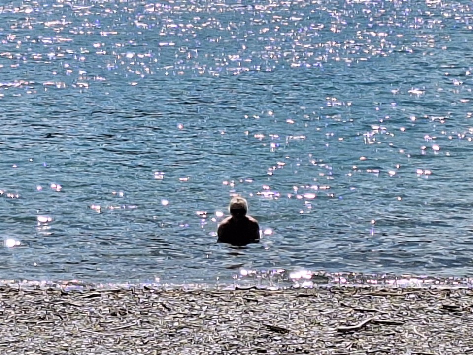 Neuseeland - Picton - Klares Wasser