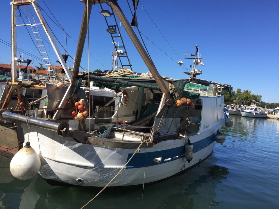 Kroatien - Novigrad - 