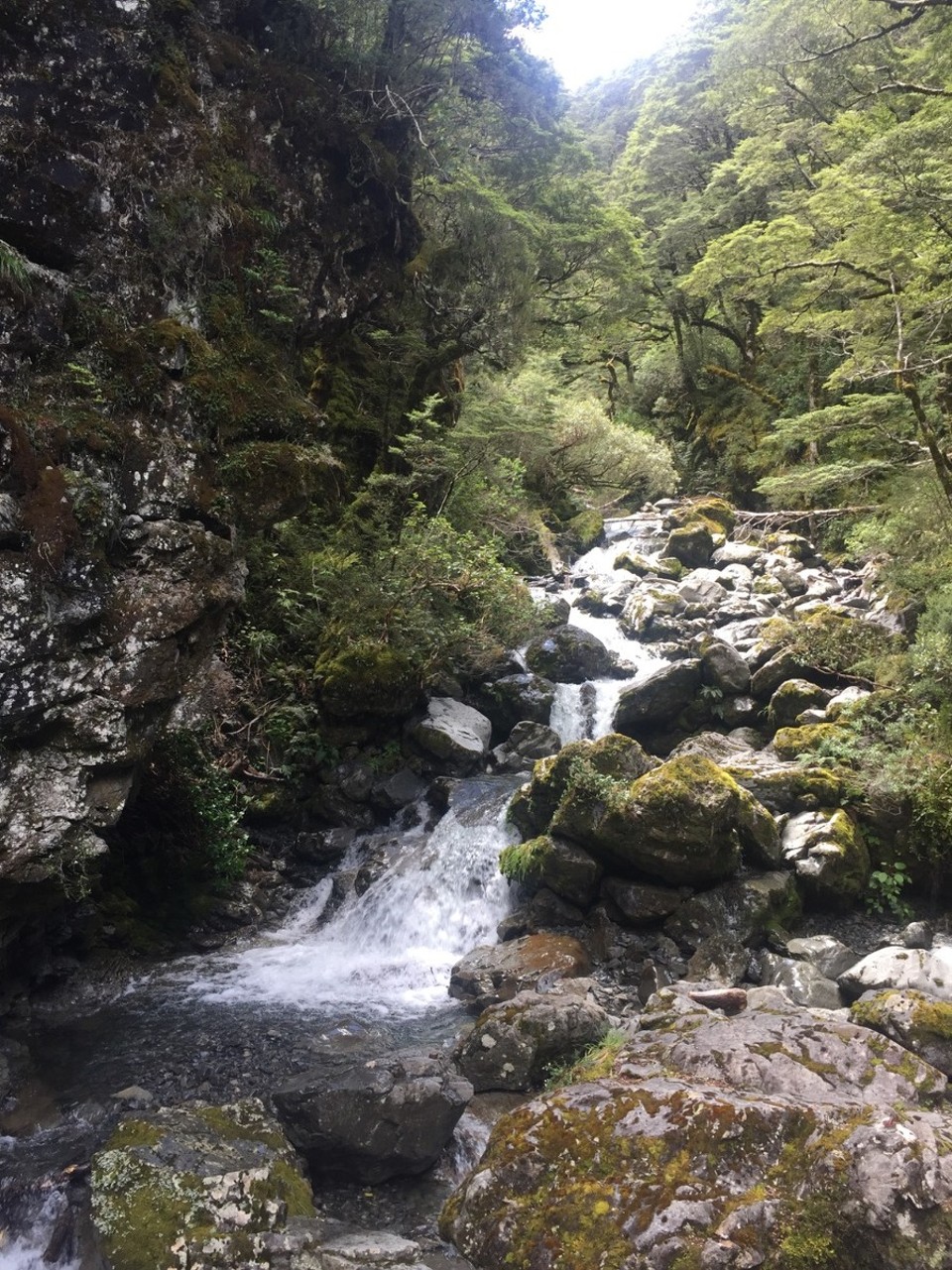 Neuseeland - Arthur’s Pass - 