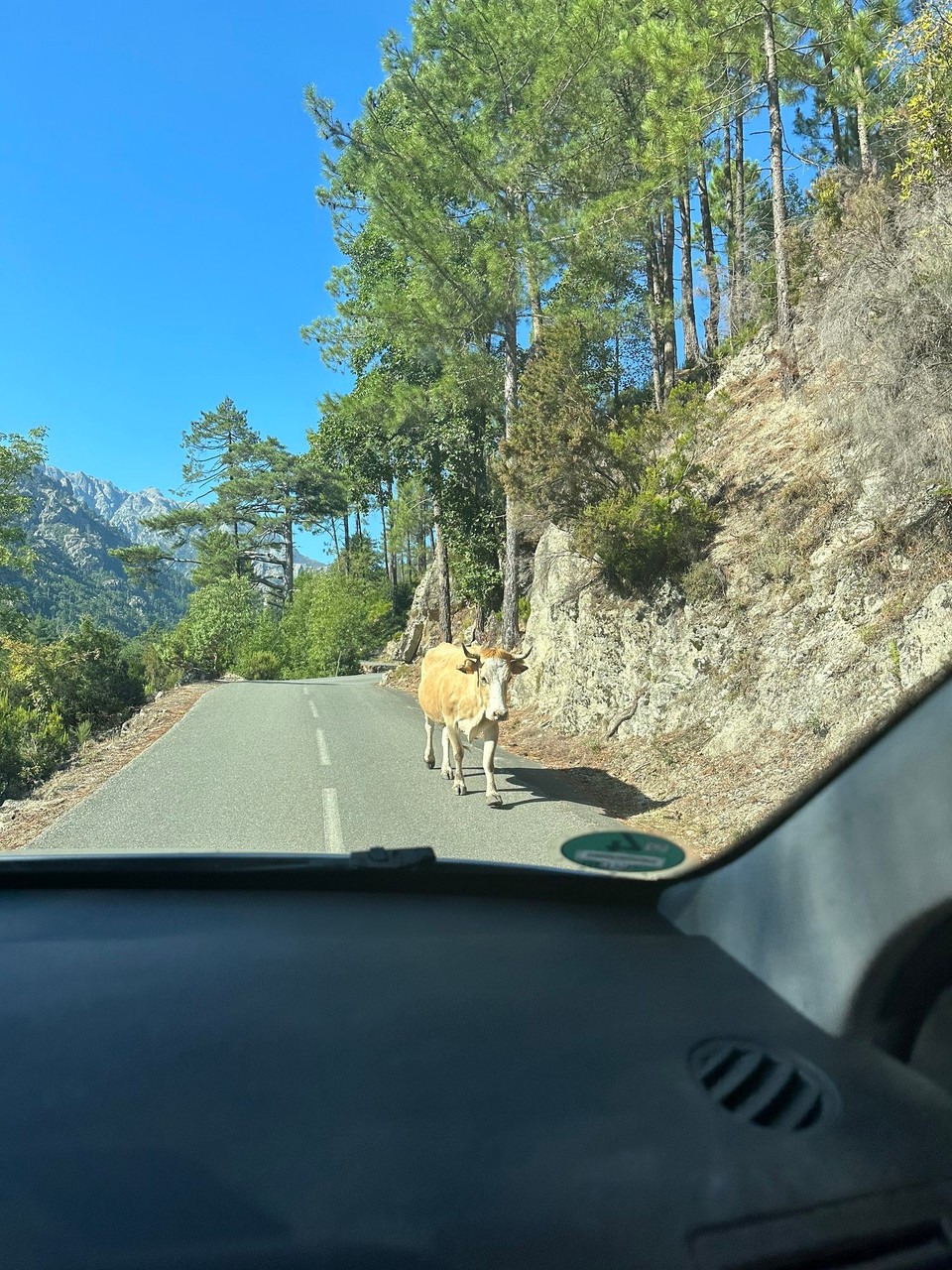 Frankreich - Corte - 