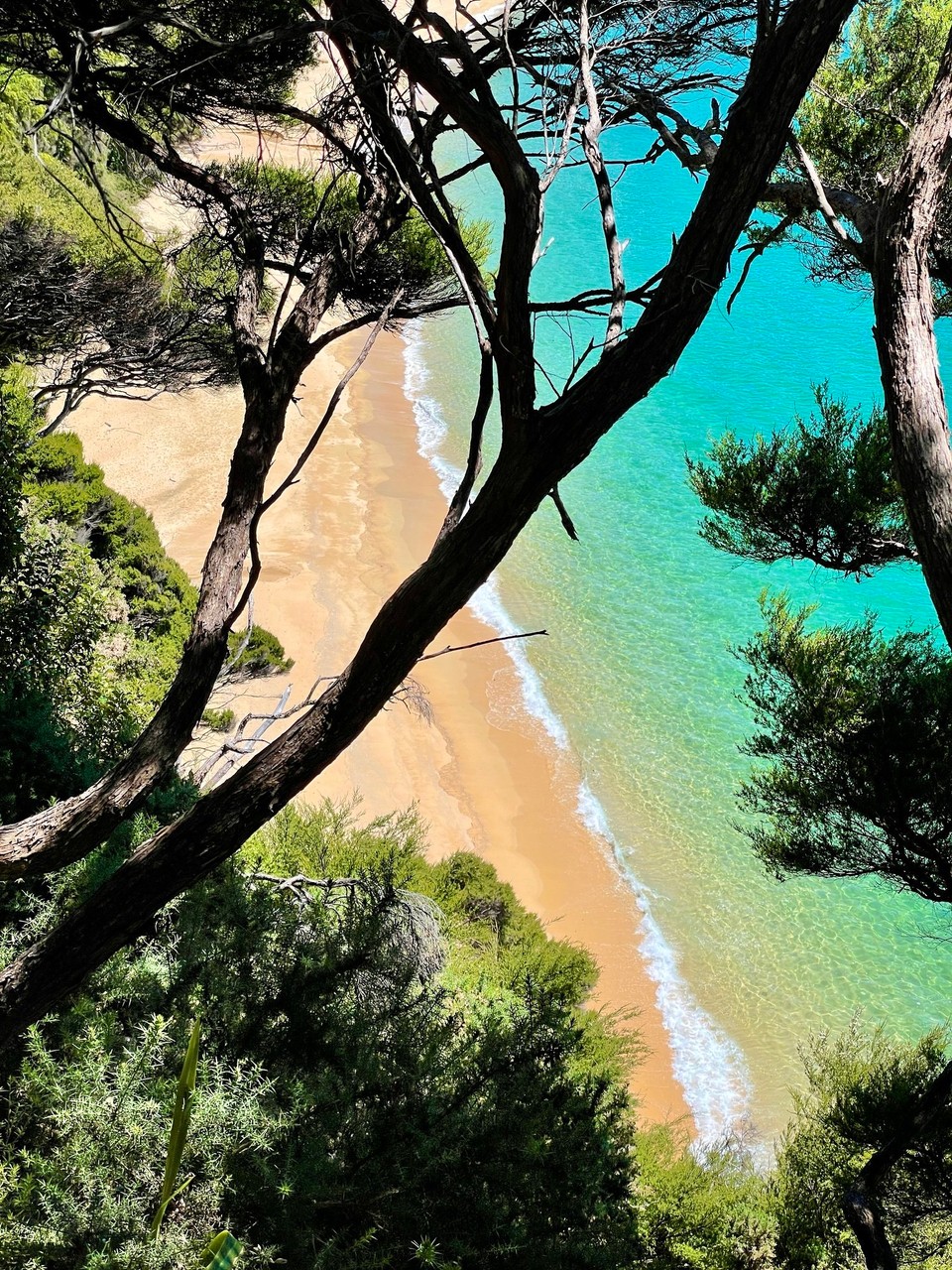 Neuseeland - Abel Tasman National Park - 