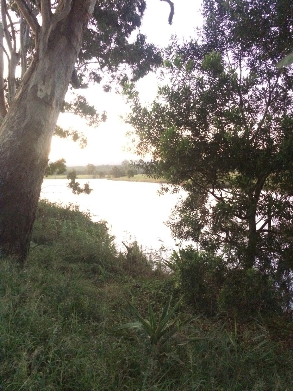 Australien - Bulahdelah - 