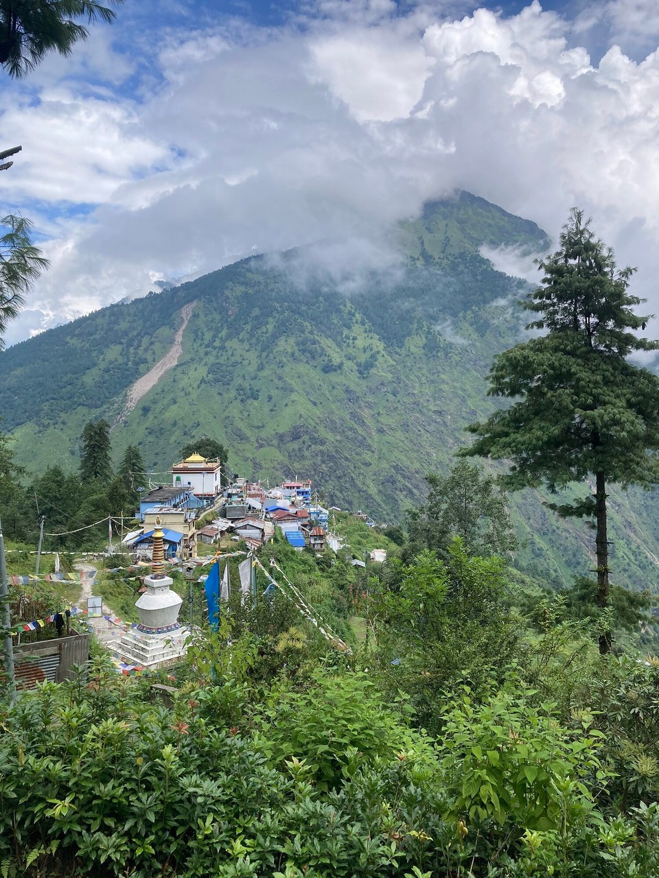 Nepal -  - Thulo Syabru das eigentliche Tagesziel noch vor dem Mittag erreicht - ich beschließe einfach noch ein Stück weiter zu laufen 😅