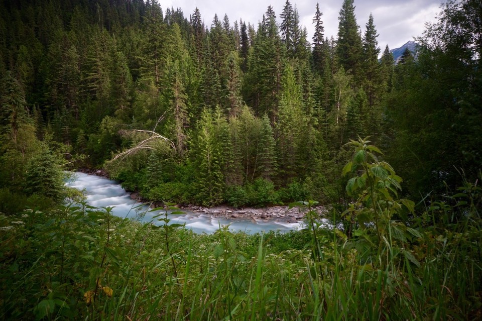 Kanada - Valemount - 