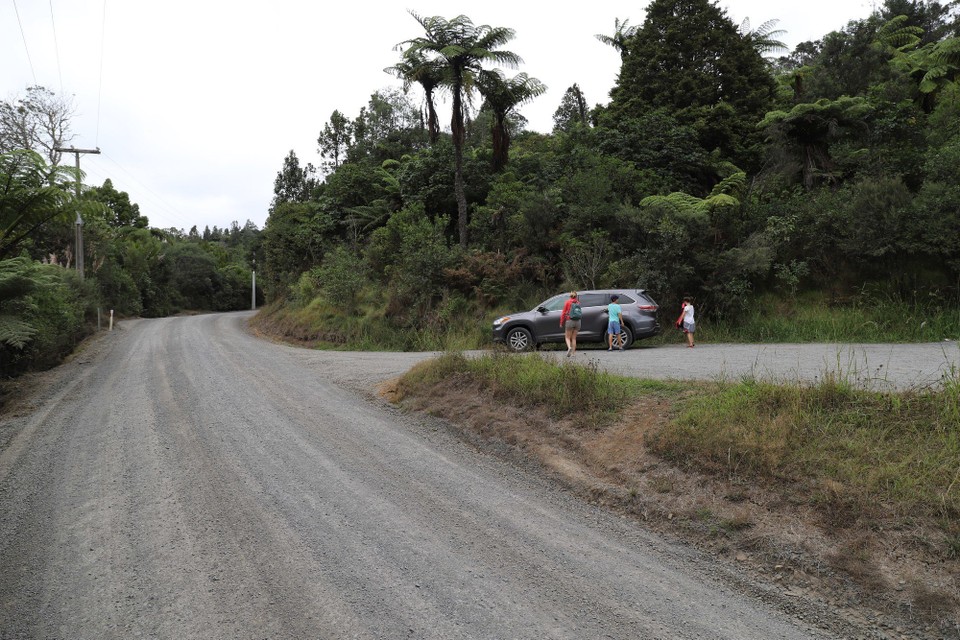 Neuseeland - Coromandel - Road 309