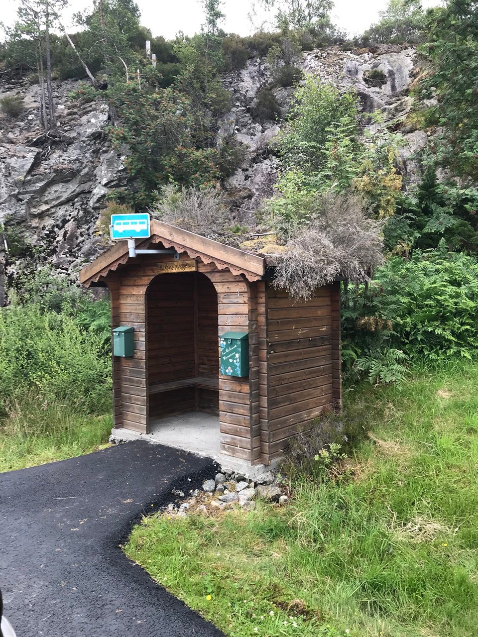 Norwegen - Tysse - Und auch an den Bushaltestellen sind die Dächer bewachsen 