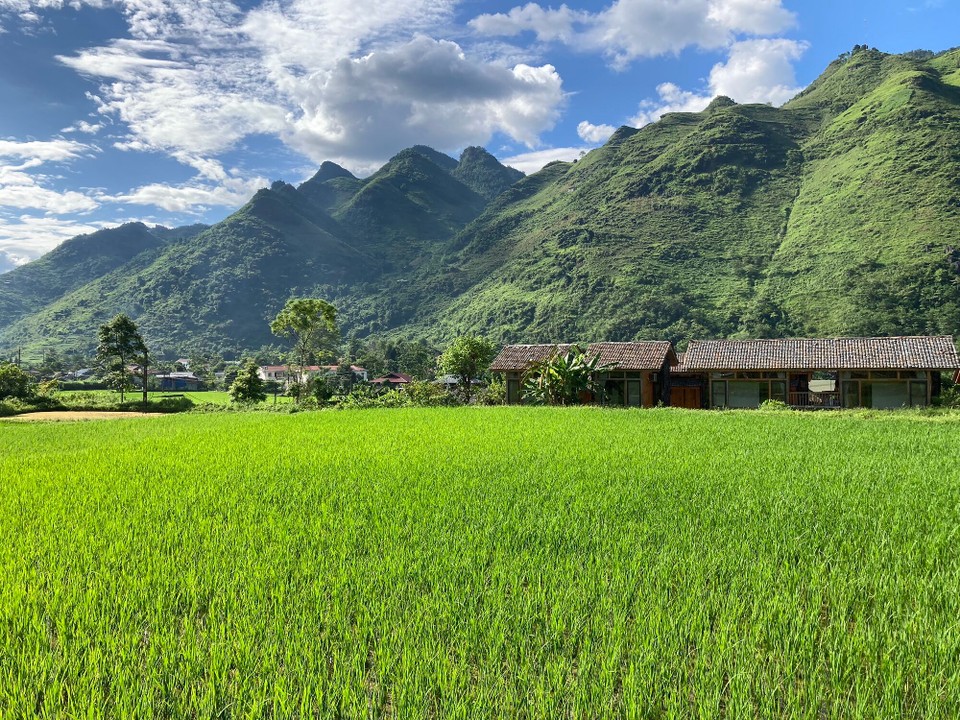 Vietnam - Yen Minh - Mitten im Reisfeld 😀