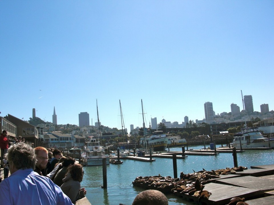 United States - San Francisco - 