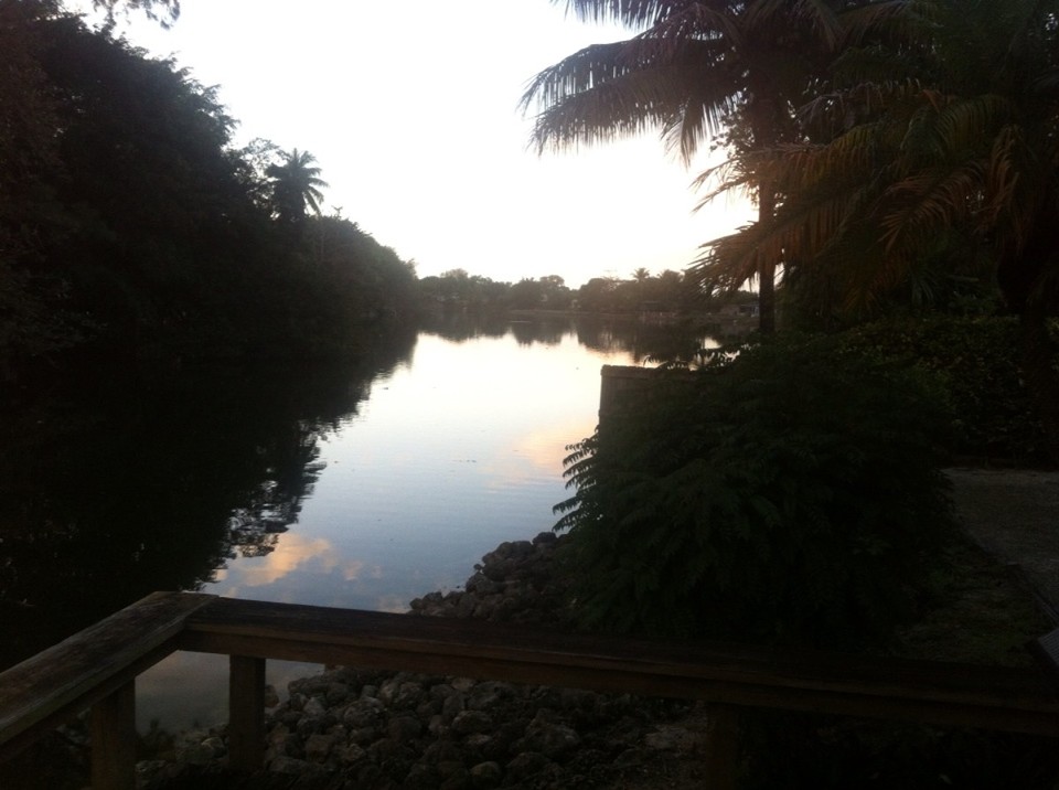 Egyesült Államok - Coral Terrace - 