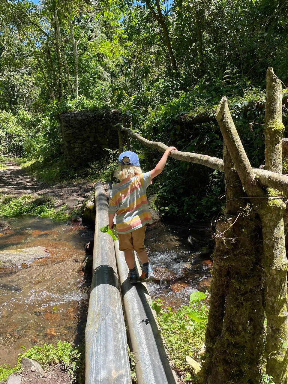Panama - Boquete - 