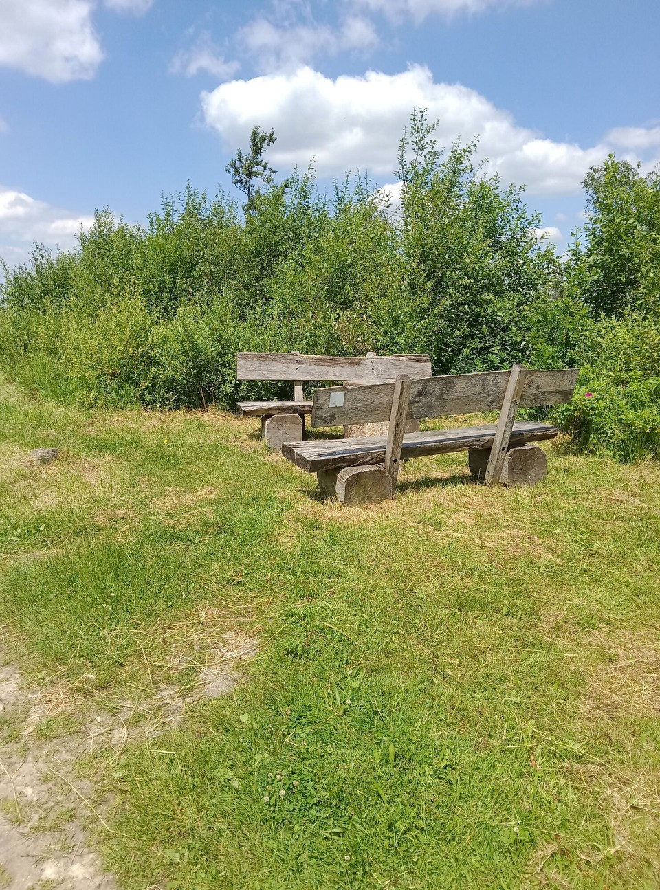 Deutschland - Horn-Bad Meinberg - Geschafft...ich bin oben auf dem Kamm. Die Bank gleich nach dem Aufstieg ist ideal. Leider ohne Schatten...