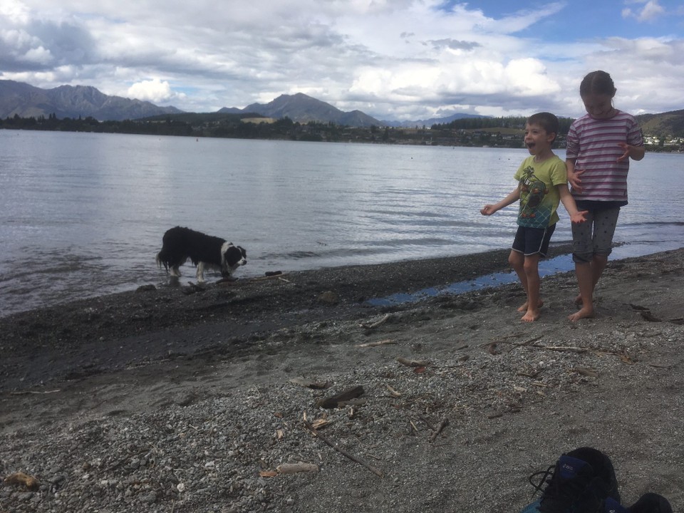 Neuseeland - Wanaka - Ein Hund hatte Freude am Stöckli holen.