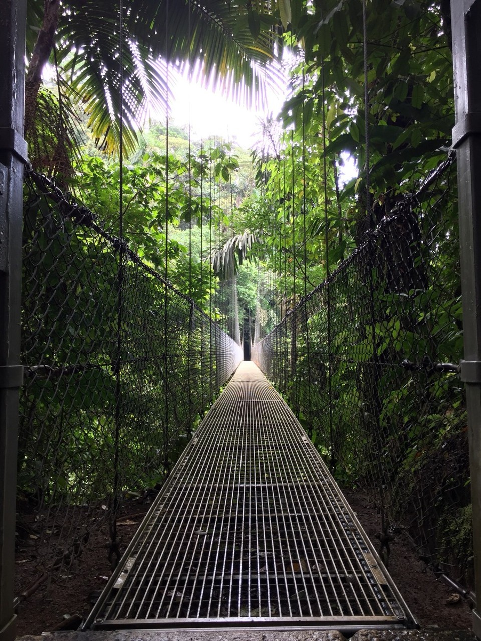 Costa Rica - San Carlos - 
