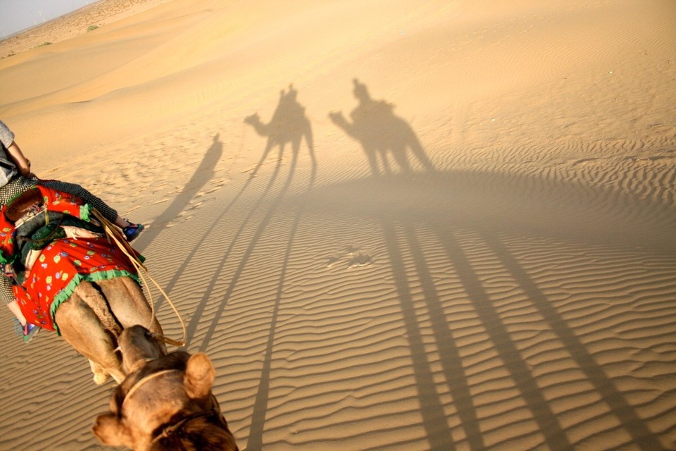 Thar Desert -  - 