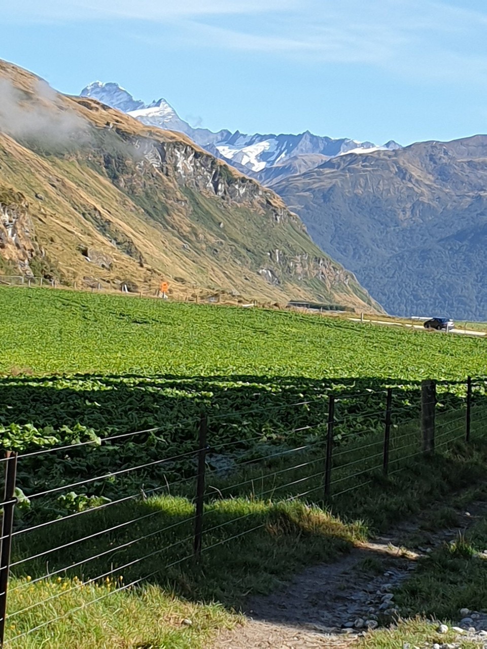 Neuseeland - Wanaka - 