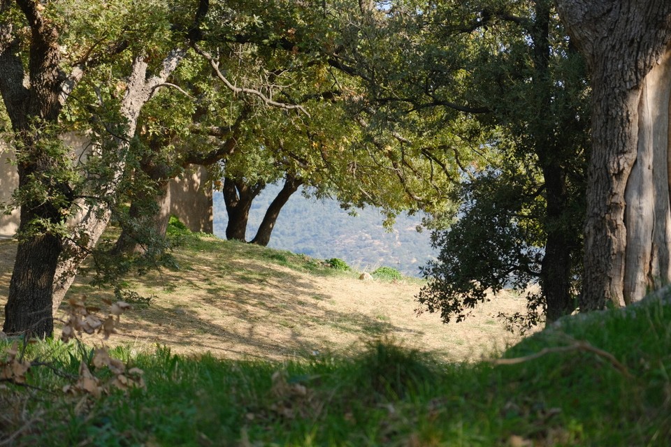 Frankreich - La Garde-Freinet - 