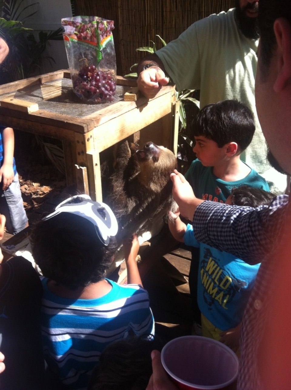 Egyesült Államok - Homestead - 