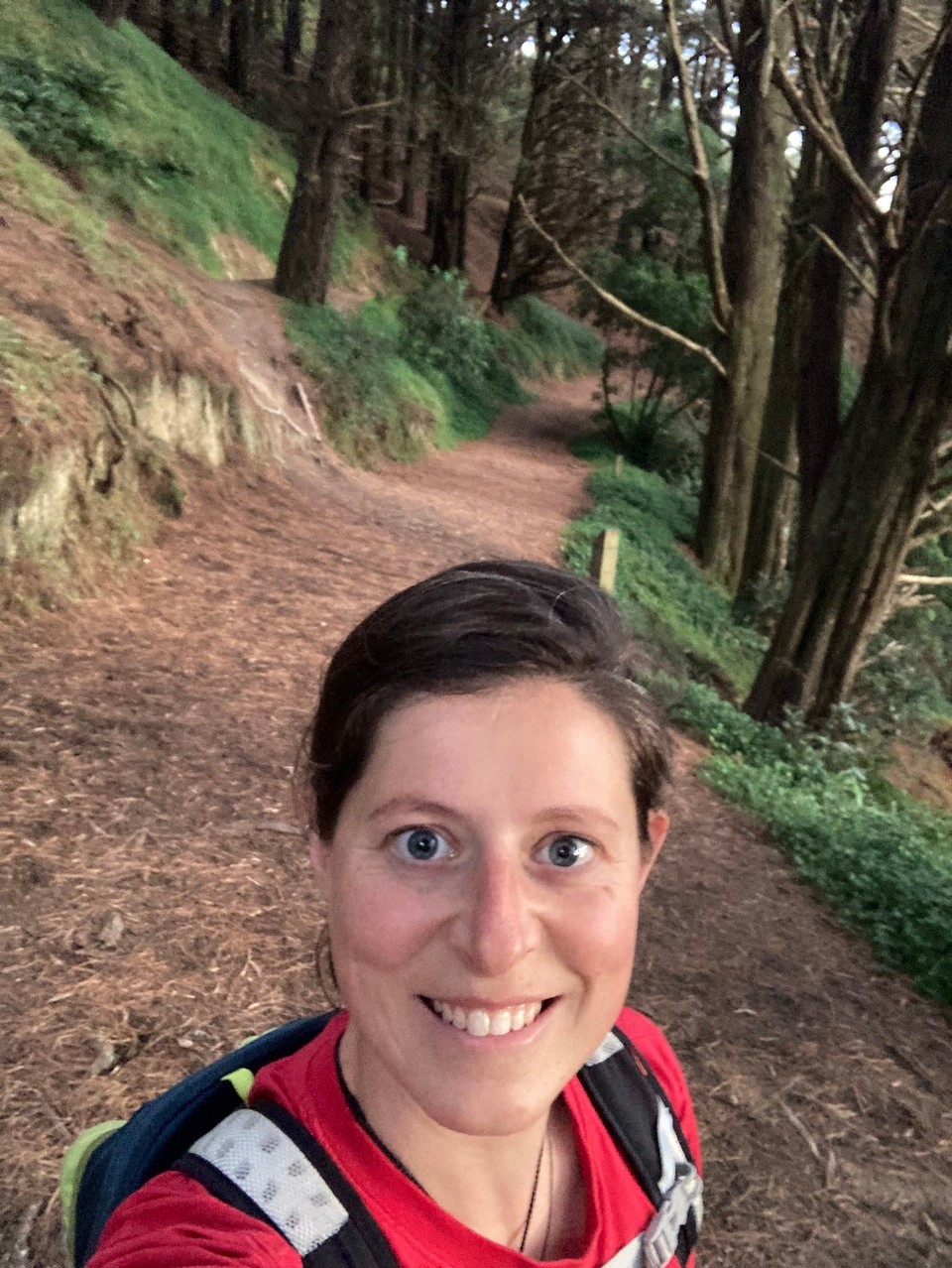 Neuseeland - Wellington - 