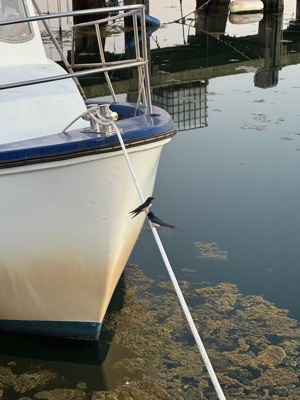 Deutschland - Fehmarn - 