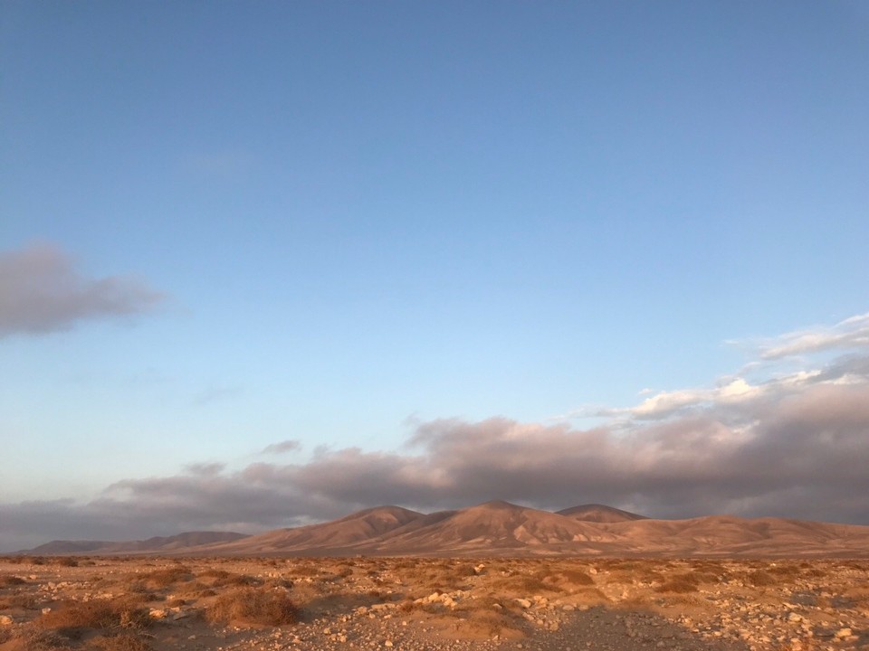 Spanien - La Oliva - 